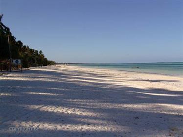 Beach walk, Zanzibar, DSC07985b